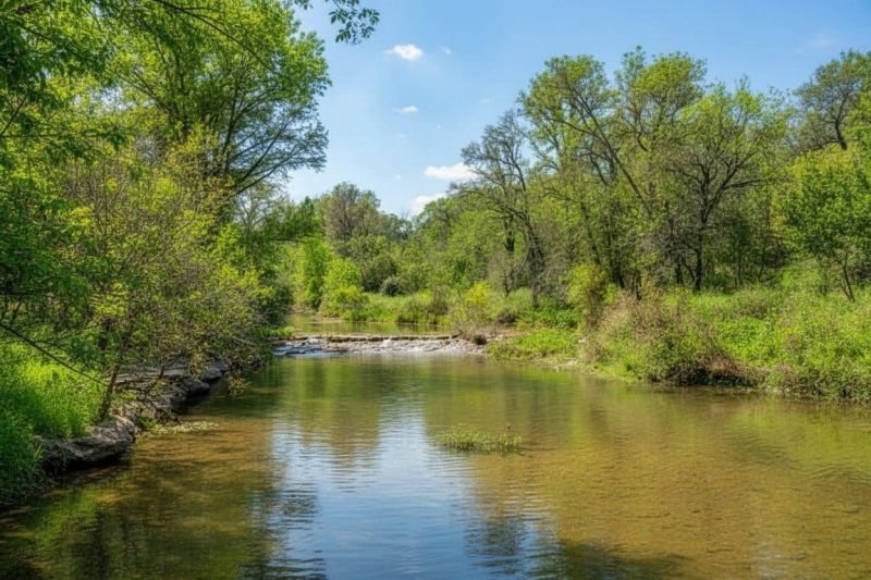 Manchaca, TX